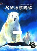 等待冰雪降临 封面