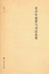 青少年犯罪与司法论要 封面