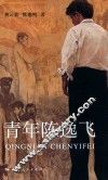 青年陈逸飞 封面