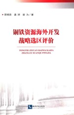 铜铁资源海外开发战略选区评价 封面