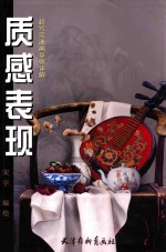 质感表现  超写实油画步骤详解 封面