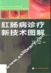 肛肠病诊疗新技术图解 封面