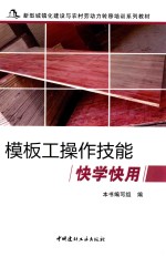 模板工操作技能快学快用 封面