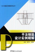 11G101图集实例精解系列丛书  平法钢筋设计实例精解 封面