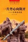一片丹心向阳开  巾帼英烈卷 封面