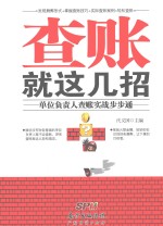 查账就这几招  单位负责人查账实战步步通 封面