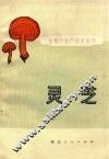 灵芝 封面