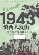 中国抗日战争战场全景画卷  滇西大复仇  滇西反攻战影像全纪录 封面