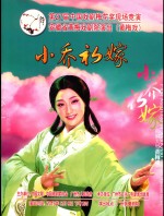 小乔初嫁  第27届中国戏剧梅花奖现场竞演  安徽省黄梅戏剧院演出  黄梅戏 封面