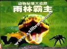 动物秘境大追踪  雨林霸主 封面