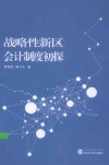 战略性新区会计制度初探 封面