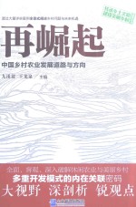 再崛起  中国乡村农业发展道路与方向 封面