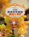 图解家庭观花植物栽培与养护 封面
