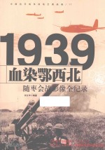 中国抗日战争战场全景画卷  血染鄂西北  随枣争夺战影像全纪录 封面