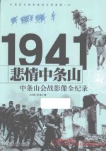 中国抗日战争战场全景画卷  悲情中条山  晋南会战影像全纪录 封面