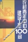 农村青年中心建设工作100问 封面