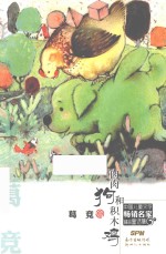 中国儿童文学畅销名家精品童话集  肉肉狗和积木鸡 封面