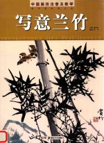 中国画技法普及教学  写意兰竹 封面