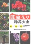 旺家花草种养大全 封面