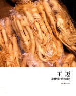 王迈  尤伦斯湾海峡 封面