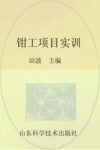钳工项目实训 封面