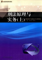 刑法学原理与实务  上 封面