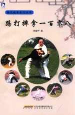 踢打摔拿一百零八 封面