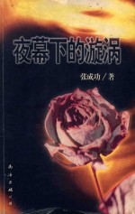 夜幕下的旋涡 封面