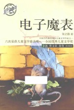 电子魔表 封面