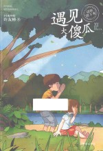 遇见大傻瓜 封面