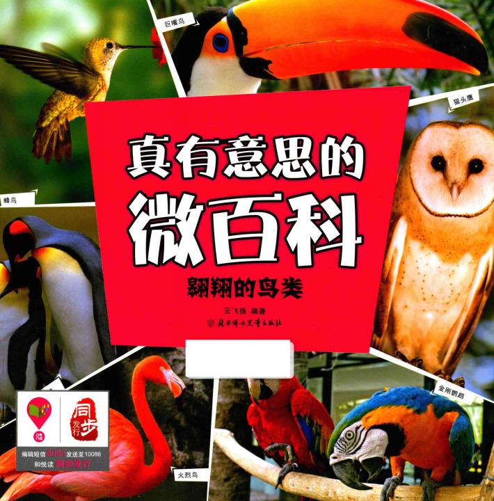 真有意思的微百科  翱翔的鸟类