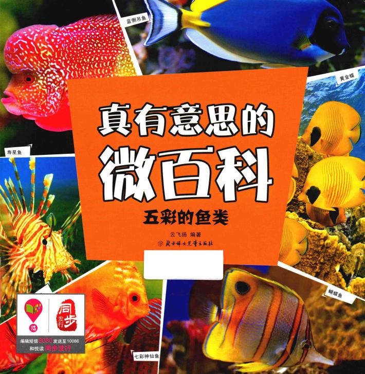 真有意思的微百科  五彩的鱼类