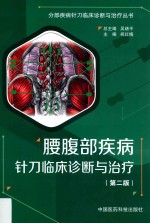 分部疾病针刀临床诊断与治疗丛书  腰腹部疾病针刀临床诊断与治疗 封面