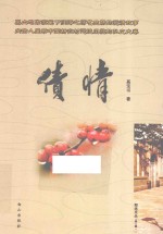 债情 封面