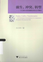 嵌生冲突转型  一个污染企业发展路径的社会学解读 封面