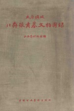 太原圹坡北齐张肃墓文物图录 封面