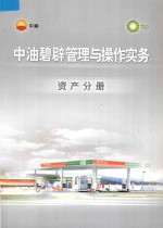 中油碧辟管理与操作实务  资产分册 封面
