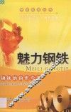 魅力钢铁  钢铁的前世今生 封面