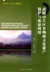 武陵山片区非物质文化遗产保护与旅游利用 封面