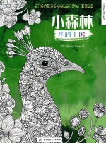 忘忧的涂色时光  小森林  鸟的王国 封面
