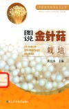 图说金针菇栽培 封面