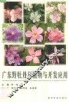 广东野牡丹科植物与开发应用 封面