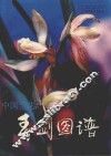 中国兰花  春剑图谱 封面