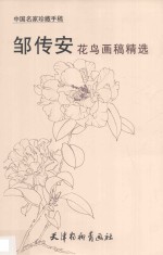 邹传安花鸟画稿精选 封面