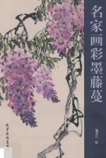 名家画彩墨藤蔓 封面