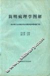 简明病理学图解 封面
