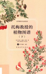 托梅教授的植物图谱  下 封面