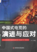 中国式电荒的演进与应对 封面