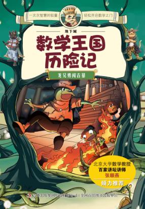 地下城数学王国历险记  龙兄勇闯古墓 封面