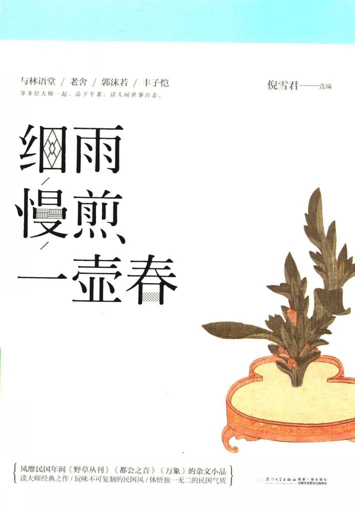 细雨慢煎一壶春 封面